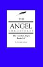 The Angel Chronicles - Book
