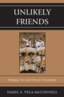 Unlikely Friends : Bridging Ties and Diverse Friendships - Book