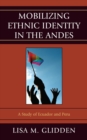 Mobilizing Ethnic Identities in the Andes : A Study of Ecuador and Peru - Book