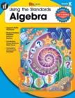Using the Standards: Algebra, Grade K - eBook