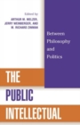 The Public Intellectual : Between Philosophy and Politics - Book