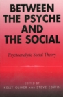 Between the Psyche and the Social : Psychoanalytic Social Theory - Book