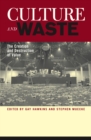 Culture and Waste : The Creation and Destruction of Value - Book