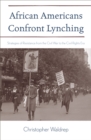 African Americans Confront Lynching : Strategies of Resistance from the Civil War to the Civil Rights Era - Book