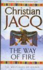 The Way of Fire - Book