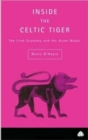 Inside the Celtic Tiger - Book