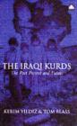 The Kurds in Iraq : The Past, Present and Future - Book