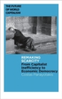 Remaking Scarcity : From Capitalist Inefficiency to Economic Democracy - Book