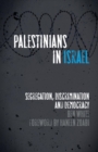 Palestinians in Israel : Segregation, Discrimination and Democracy - Book