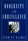 Modernity and Ambivalence - Book