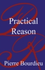 Practical Reason : On the Theory of Action - Book