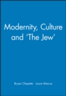 Modernity, Culture and 'The Jew' - Book