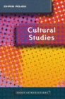 Cultural Studies - Book