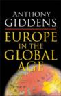 Europe in the Global Age - Book