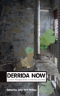 Derrida Now : Current Perspectives in Derrida Studies - eBook