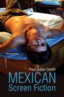 Mexican Screen Fiction : Between Cinema and Television - Book