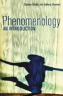 Phenomenology : An Introduction - eBook
