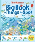 Big Book of Things to Spot - Book