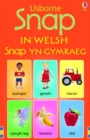 Snap in Welsh - Book