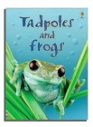 Tadpoles and Frogs - Book