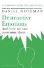 Destructive Emotions - Book