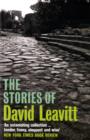 The Stories of David Leavitt - Book