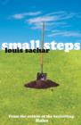 Small Steps - Book