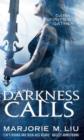 Darkness Calls : Hunter Kiss: Book 2 - eBook