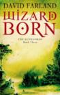 Wizardborn : Book 3 of the Runelords - eBook