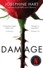 Damage : INSPIRATION FOR THE NETFLIX SERIES OBSESSION - eBook