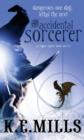 The Accidental Sorcerer : Book 1 of the Rogue Agent Novels - eBook
