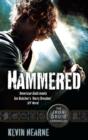 Hammered : The Iron Druid Chronicles - eBook