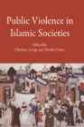 Public Violence in Islamic Societies : Power, Discipline, and the Construction of the Public Sphere, 7th-19th Centuries CE - Book