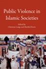 Public Violence in Islamic Societies : Power, Discipline, and the Construction of the Public Sphere, 7th-19th Centuries CE - eBook