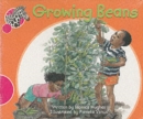 Spotty Zebra Pink B Change -growing Beans (x6) - Book