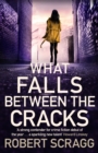 What Falls Between the Cracks - Book