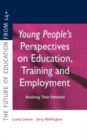 Young People's Perspectives on Education, Training and Employment : Realising Their Potential - Book