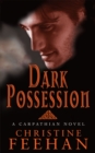 Dark Possession : Number 18 in series - Book