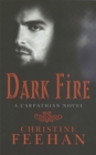 Dark Fire : Number 6 in series - Book