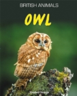British Animals: Owl - Book