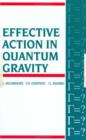 Effective Action in Quantum Gravity - Book