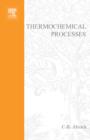Thermochemical Processes : Principles and Models - Book