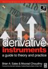 Derivative Instruments : A Guide to Theory and Practice - Book