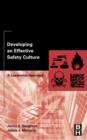 Developing an Effective Safety Culture : A Leadership Approach - Book
