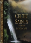 Celtic Saints in Their Landscape - Book