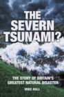 The Severn Tsunami? - eBook
