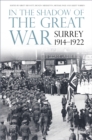 In the Shadow of the Great War : Surrey, 1914-1922 - Book