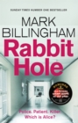 Rabbit Hole : The new masterpiece from the Sunday Times number one bestseller - Book