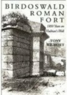 Birdoswald Roman Fort : 1800 Years on Hadrian's Wall - Book