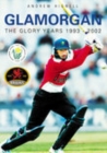 Glamorgan: The Glory Years 1993-2002 - Book